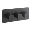 Just Taps Plu JTP Hix Matt Black Twin Outlet Thermostatic Concealed Shower Valve Horizontal -Aqualisa Shop 38693mb l 1