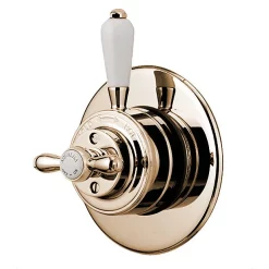 Aqualisa - Aquatique Thermo Concealed Thermostatic Valve With 8" Drencher Head & Arm - Gold -Aqualisa Shop 500.00.04550.04 d1