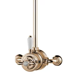 Aqualisa - Aquatique Thermo Exposed Thermostatic Valve With 8" Drencher Head & Riser Rail - Gold -Aqualisa Shop 500.10.04551.04 d1