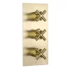Just Taps Plu JTP Solex Brushed Brass Triple Outlet Thermostatic Concealed Shower Valve Vertical -Aqualisa Shop 6690abbr l