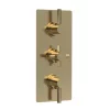Hudson Reed Tec Pura Plus Triple Concealed Thermostatic Shower Valve - Brushed Brass -Aqualisa Shop a8003l