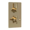 Hudson Reed Tec Pura Twin Concealed Thermostatic Shower Valve - Brushed Brass -Aqualisa Shop a8003vl