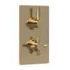 Hudson Reed Tec Pura Concealed Twin Shower Valve With Built-in Diverter - Brushed Brass -Aqualisa Shop a8007l