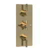 Hudson Reed Tec Pura Plus Concealed Thermostatic Triple Shower Valve With Diverter - Brushed Brass -Aqualisa Shop a8023l