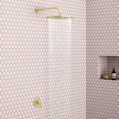 Arezzo Brushed Brass Round Concealed Manual Shower Valve -Aqualisa Shop azbbmsvd3