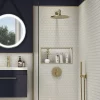 Arezzo Brushed Brass Round Concealed Manual Shower Valve With Diverter