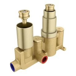 Arezzo Brushed Brass Round Modern Twin Concealed Shower Valve -Aqualisa Shop azbbsv nd1