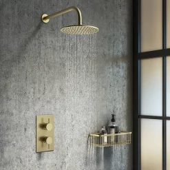 Arezzo Brushed Brass Round Modern Twin Concealed Shower Valve -Aqualisa Shop azbbsvnd3