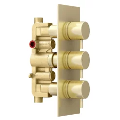 Arezzo Brushed Brass Round Modern Triple Concealed Shower Valve -Aqualisa Shop azbbtsvnewd3