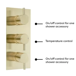 Arezzo Brushed Brass Round Modern Triple Concealed Shower Valve -Aqualisa Shop azbbtsvnewd5