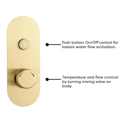 Arezzo Brushed Brass Industrial Style Push Button Shower Valve (1 Outlet) -Aqualisa Shop azpb01rbb d1n