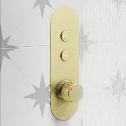 Arezzo Brushed Brass Industrial Style Push Button Shower Valve (2 Outlets) -Aqualisa Shop azpb02rbb d1n
