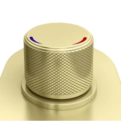 Arezzo Brushed Brass Industrial Style Push Button Shower Valve (2 Outlets)