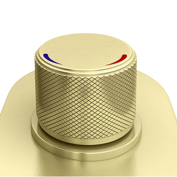 Arezzo Brushed Brass Industrial Style Push Button Shower Valve With Diverter, Handset, Fixed Shower Head + 4 Body Jets 6 Arezzo Brushed Brass Industrial Style Push Button Shower Valve With Diverter, Handset, Fixed Shower Head + 4 Body Jets - Image 4