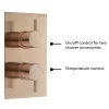 Arezzo Rose Gold Round Modern Twin Concealed Shower Valve With Diverter -Aqualisa Shop azrgsvdnewd3