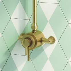 Arezzo Brushed Brass Round Exposed Dual Thermostatic Shower Valve -Aqualisa Shop azsv4bbe d1