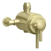 Arezzo Brushed Brass Dual Exposed Thermostatic Shower Valve With Rigid Riser Kit -Aqualisa Shop azsv4bberk1 d3