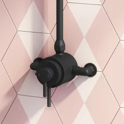 Arezzo Matt Black Round Exposed Dual Thermostatic Shower Valve -Aqualisa Shop azsv4mbe d1