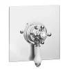 Victorian Plumbing Belmont Traditional Dual Concealed Thermostatic Shower Valve Inc. 8" Apron Fixed Head -Aqualisa Shop bcspk01 d2