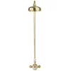 Crosswater Belgravia Unlacquered Brass Thermostatic Shower Valve With 8" Fixed Head -Aqualisa Shop bel showerq d1