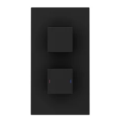 Arezzo Square Modern Twin Concealed Shower Valve With Diverter - Matt Black