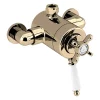 Bristan 1901 Exposed Concentric Top Outlet Shower Valve - Gold -Aqualisa Shop n2cshxtvog l