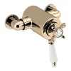 Bristan - 1901 Exposed Dual Control Thermostatic Shower Valve - Gold -Aqualisa Shop n2cshxvog ln