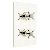Bristan - 1901 Thermostatic Recessed Dual Control Shower Valve - Gold -Aqualisa Shop n2shcvog l