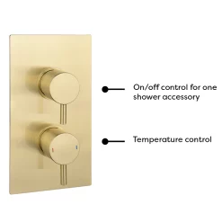 Arezzo Brushed Brass Twin Concealed Shower Valve Inc. 300mm Head + Ceiling Mounted Arm -Aqualisa Shop rd3bbpkcm detail1