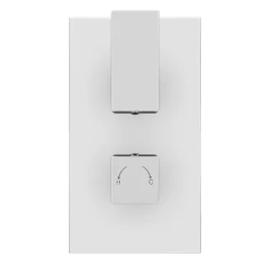 Victorian Plumbing Summit Twin Concealed Thermostatic Shower Valve - Chrome -Aqualisa Shop scttsv n d4