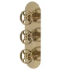 Hudson Reed Revolution Industrial Triple Concealed Thermostatic Shower Valve - Brushed Brass -Aqualisa Shop siwtr803l