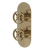 Hudson Reed Revolution Industrial Twin Concealed Thermostatic Shower Valve - Brushed Brass -Aqualisa Shop siwtw801l