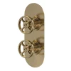 Hudson Reed Revolution Industrial Twin Concealed Thermostatic Shower Valve With Diverter - Brushed Brass -Aqualisa Shop siwtw802 lrg