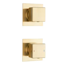 Arezzo Brushed Brass Square Thermostatic Shower Pack With 200mm Head + Handset -Aqualisa Shop sq4bbpk d3