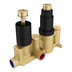 Arezzo Square Modern Concealed Twin Shower Valve - Matt Black -Aqualisa Shop sqv21black d1