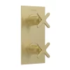 Heritage Bathroom Heritage Salcombe 2 Outlet Twin Concealed Thermostatic Shower Valve - Brushed Brass