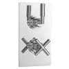 Ultra Helix Concealed Crosshead Thermostatic Twin Shower Valve 1 Ultra Helix Concealed Crosshead Thermostatic Twin Shower Valve -Aqualisa Shop ultrahelixconcealedcrossheadthermostatictwinshowervalvehelv51l