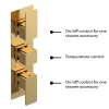 Venice Cubo Triple Thermostatic Shower Valve - Brushed Brass -Aqualisa Shop vc8tr02bb d1