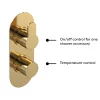 Venice Giro Twin Thermostatic Shower Valve - Brushed Brass -Aqualisa Shop vg8tw01bb d1